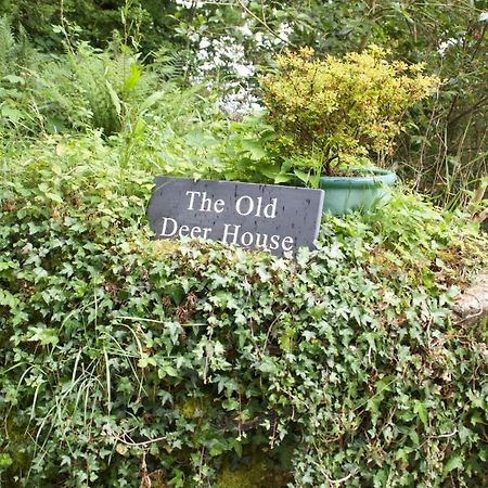 مبيت وإفطار بودمين The Old Deer House المظهر الخارجي الصورة