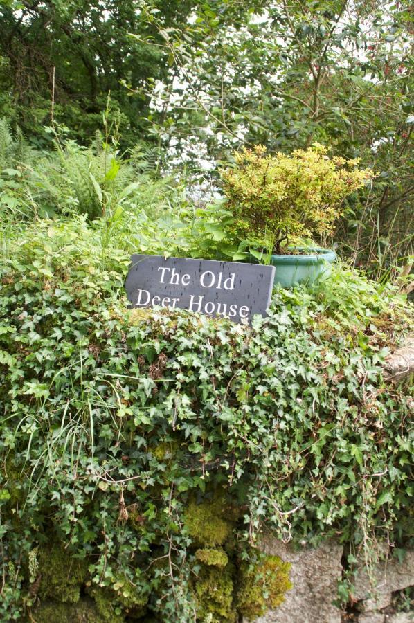 مبيت وإفطار بودمين The Old Deer House المظهر الخارجي الصورة